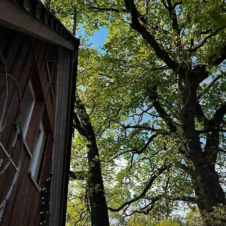 Hof Bahrenwinkel“ Unter Den Eichen“ 아파트