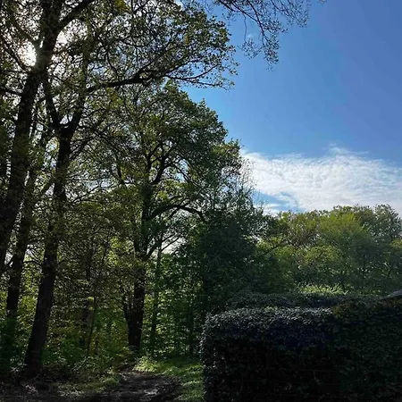 아파트 Hof Bahrenwinkel“ Unter Den Eichen“ *